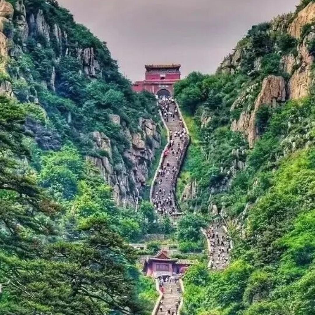 泰山明哥