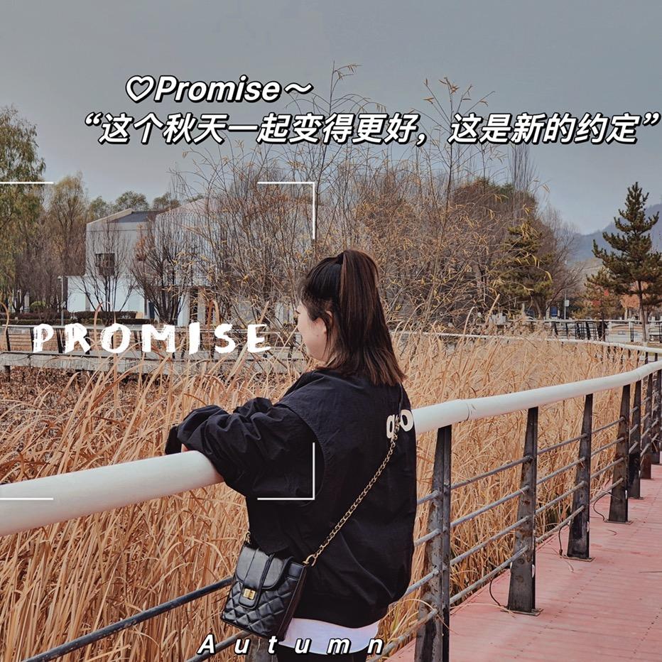 、幸福太贵丶你我都给不起