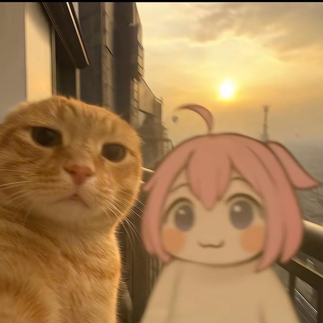 c宝棉棉