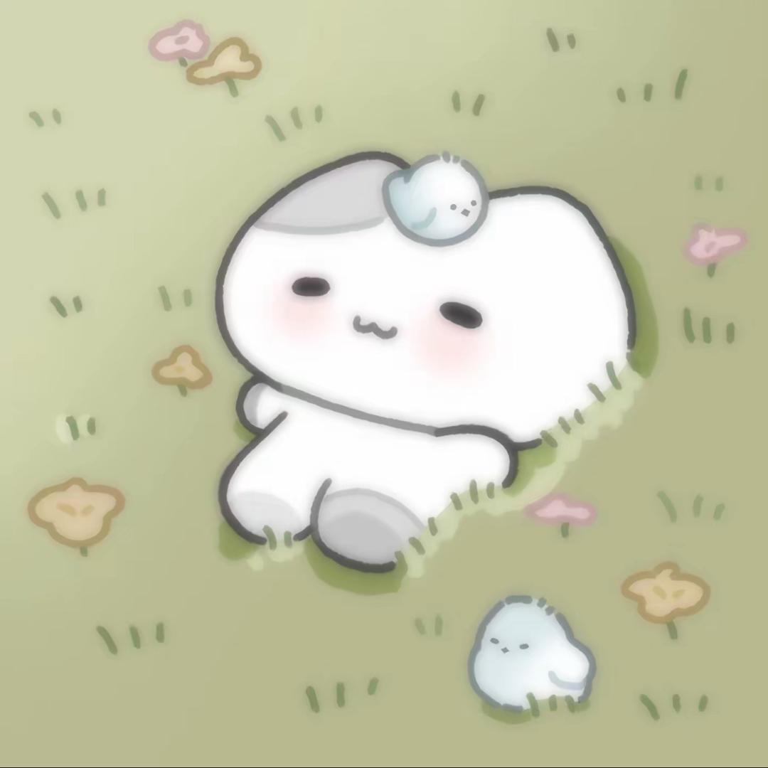 今晚不熬夜了