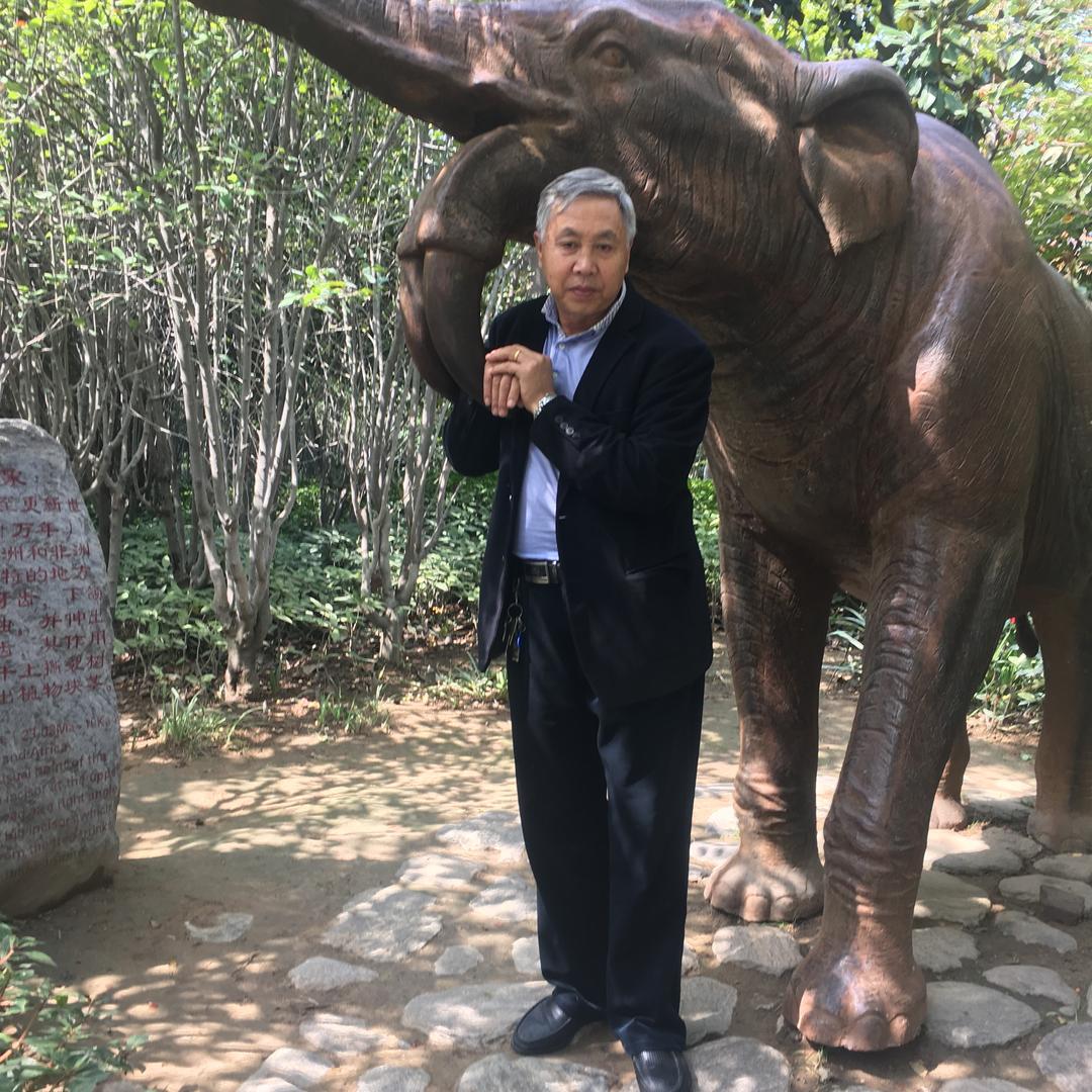 王玉敏