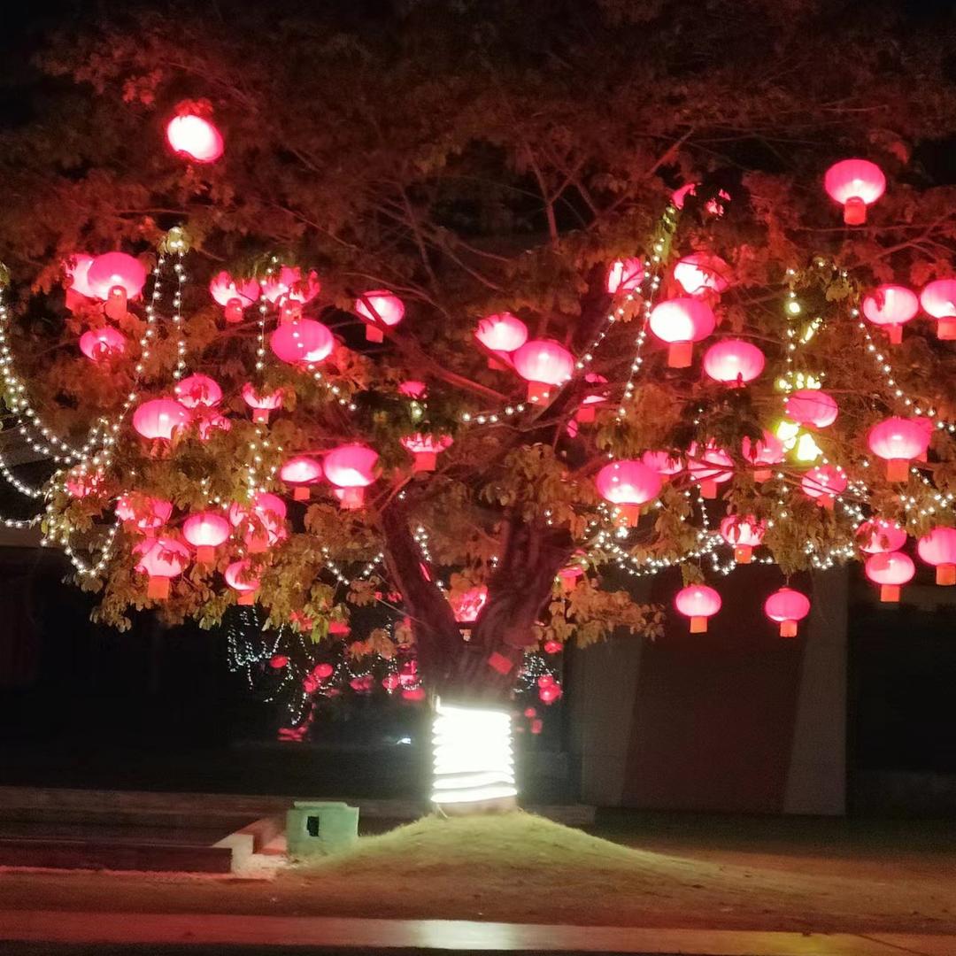 (ง •̀_•́)ง