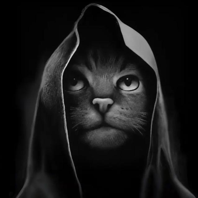 巢湖博越渔网厂