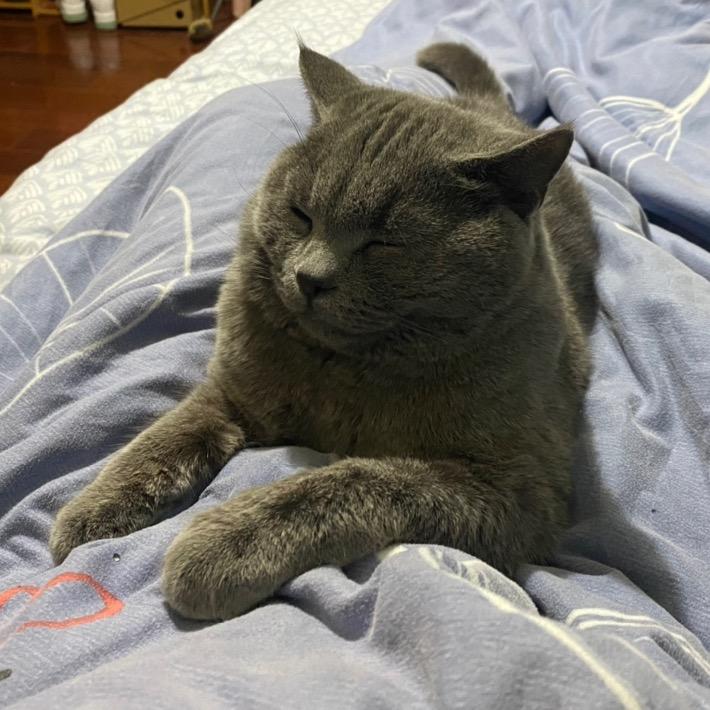 🇨🇳中国🇨🇳