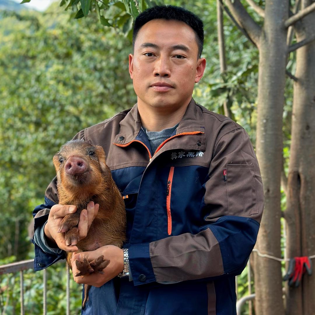 云南黑猪倌