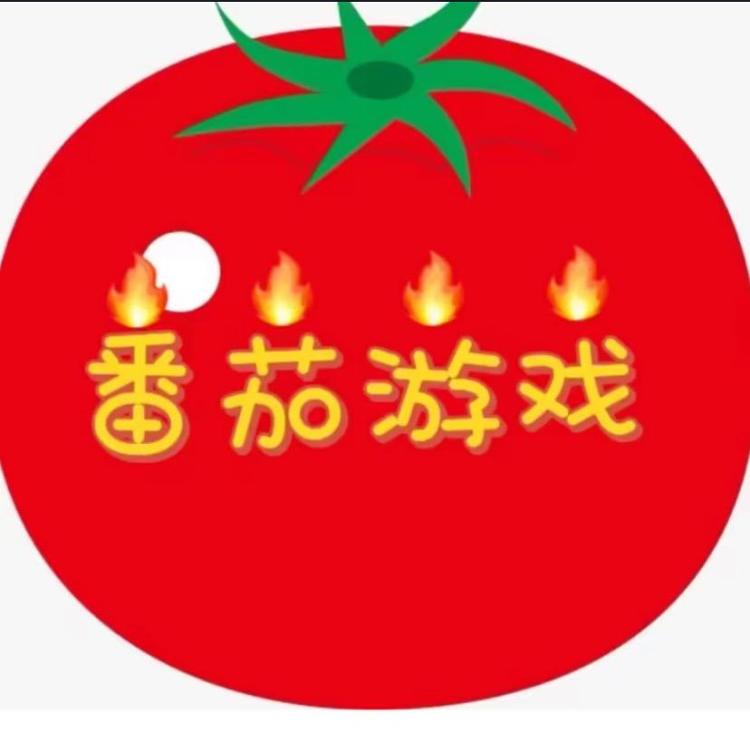 番茄游戏队长