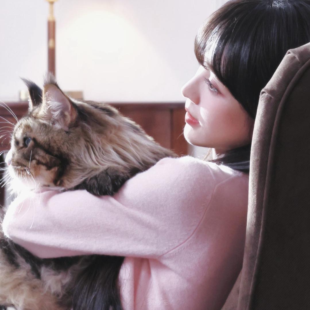 布酱栗猫🐱