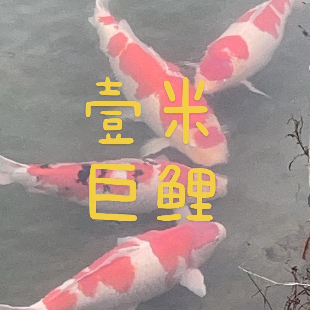 壹米巨鲤（重庆）