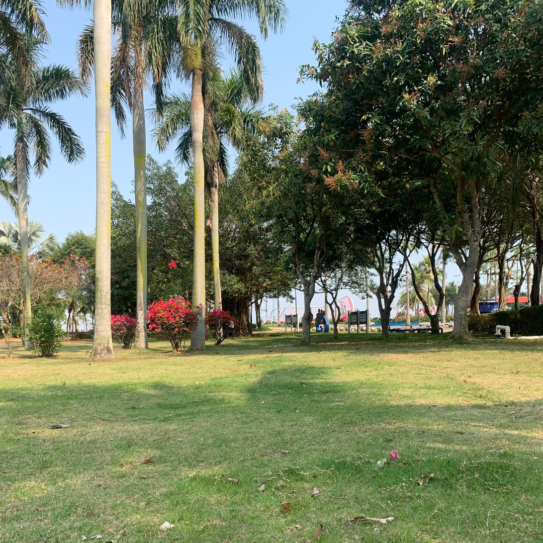 玄学研究会