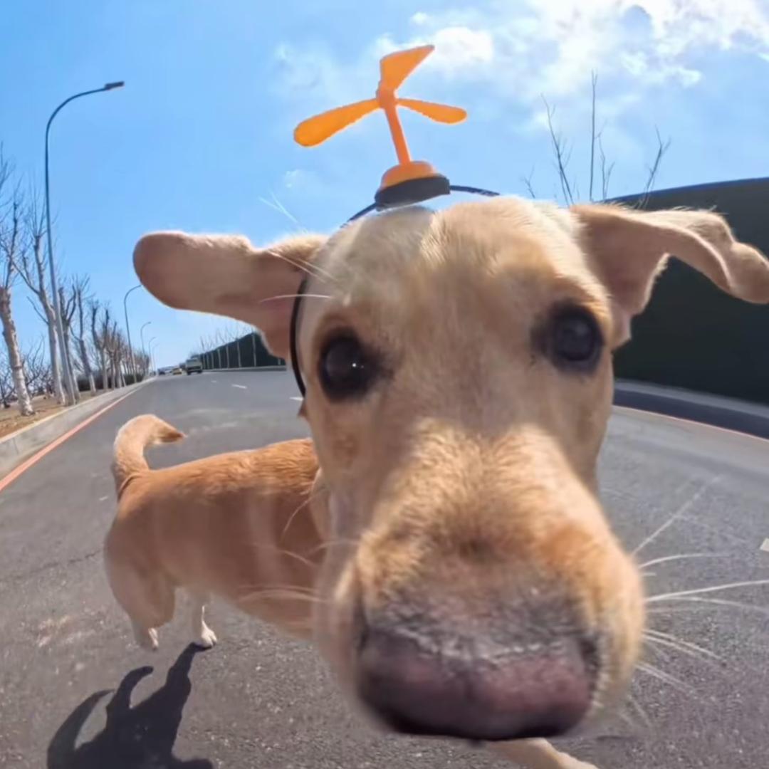 嘀里嘟噜地理大大