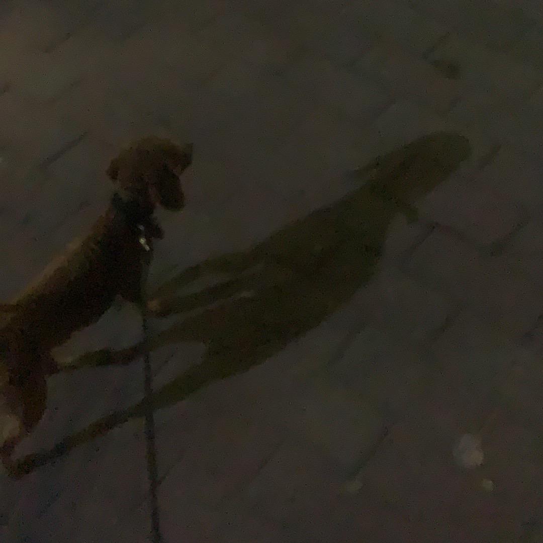 健康发财