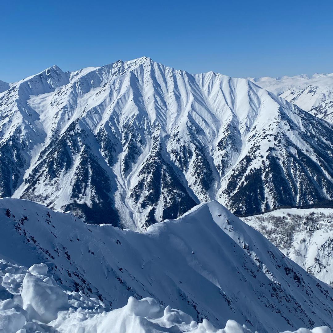 山川野人