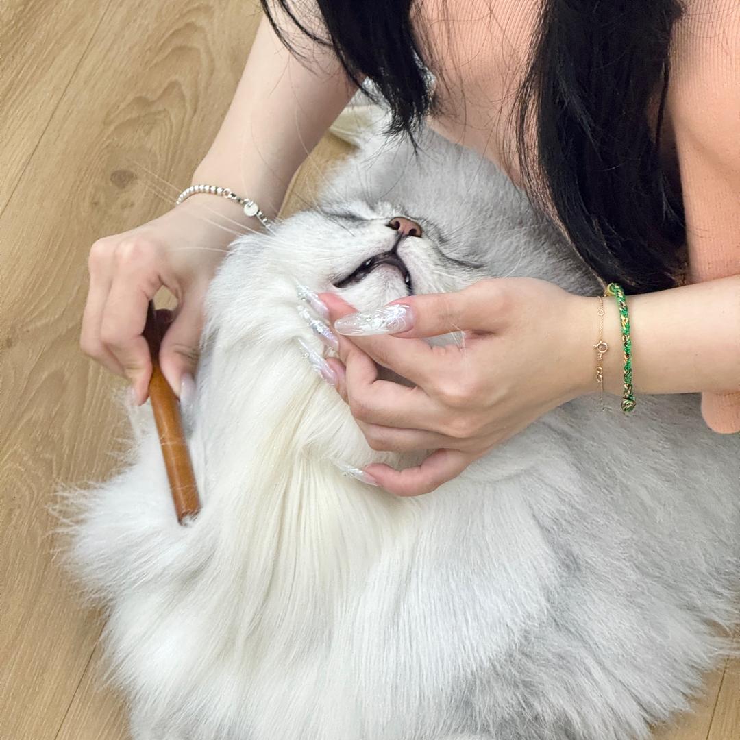 金金不晚
