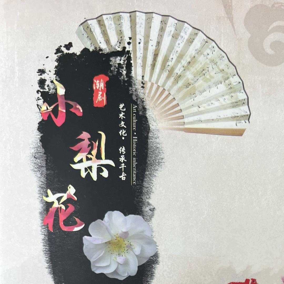 广东小梨花青年潮剧团