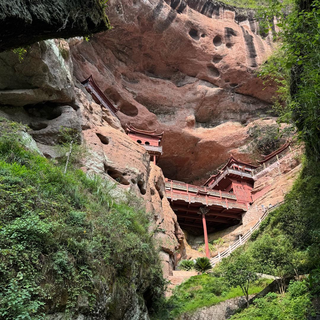 小鹏说茶