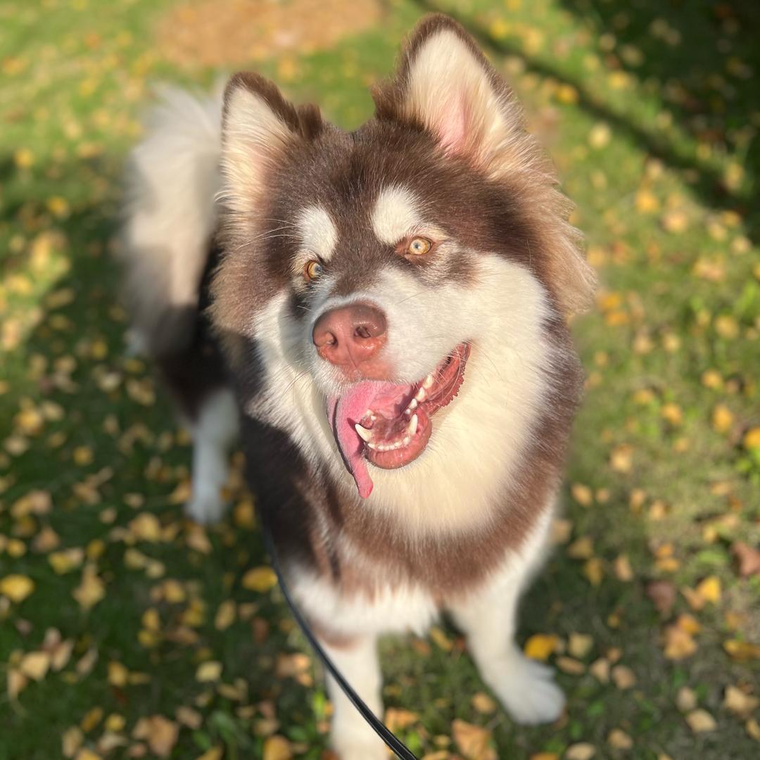 当然是钱钱啦✌️