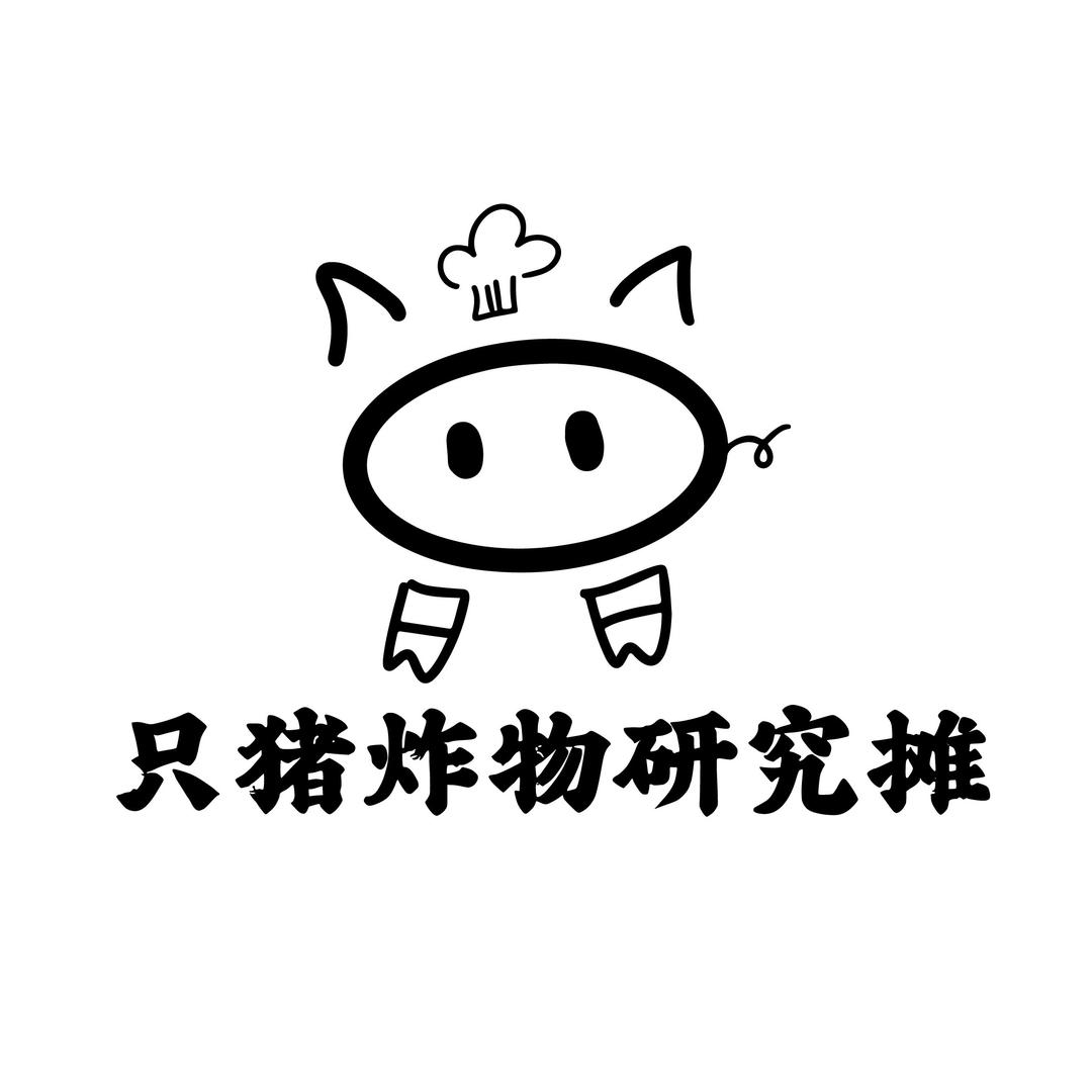 阳江只猪炸物研究摊