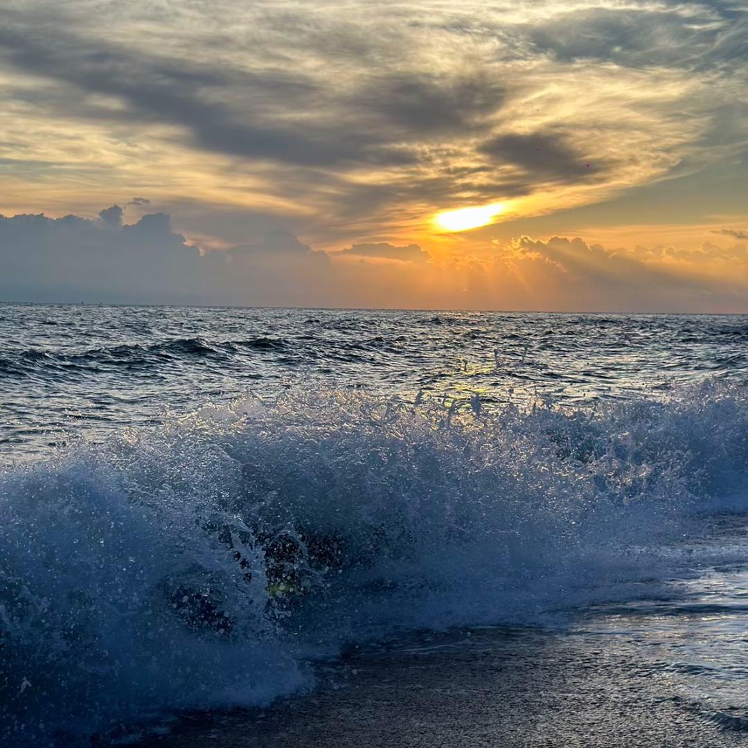 .'天闲星🌠（全屋精装版）