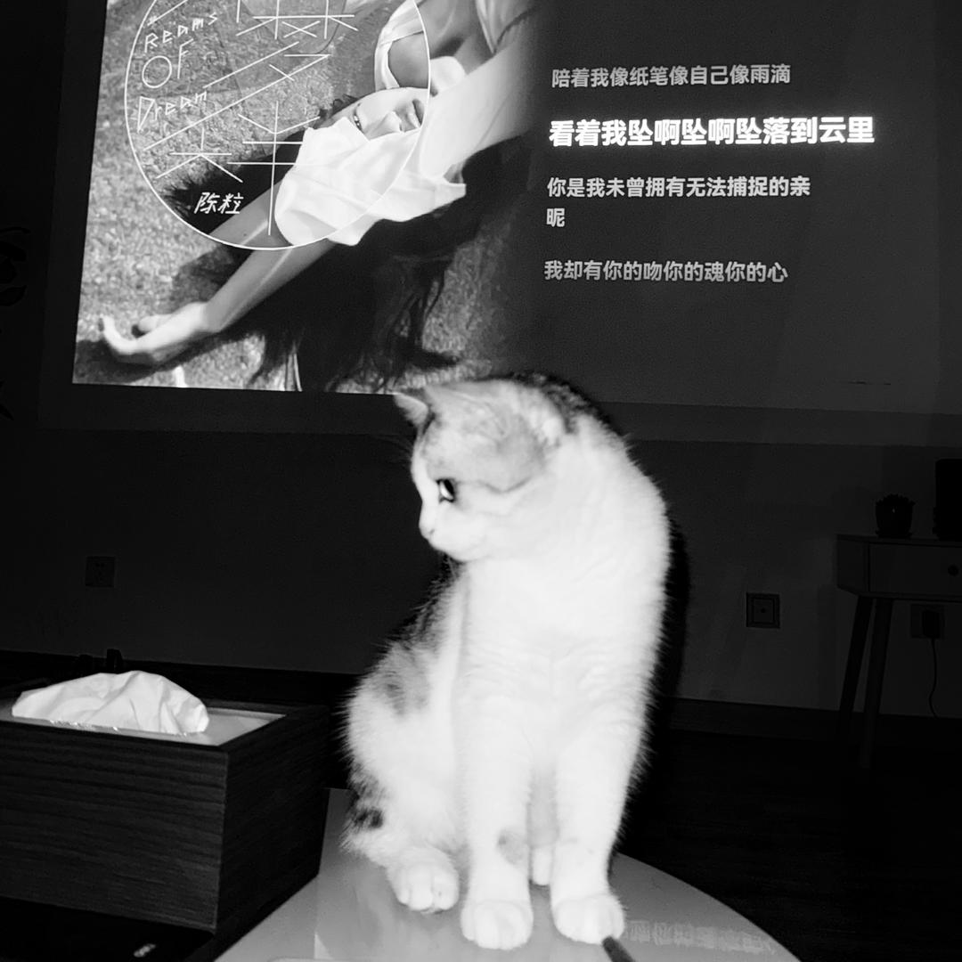 木子李木子