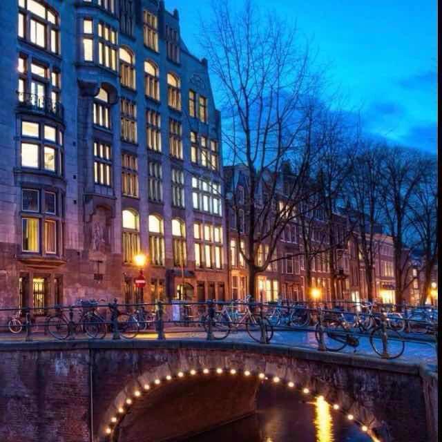 桂花飘香新日电动车