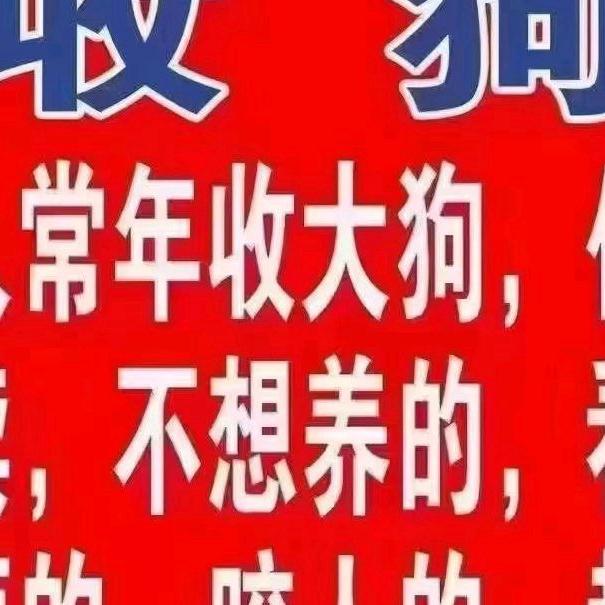 沭阳收宠物狗幼犬🐶（代淘宠物狗）