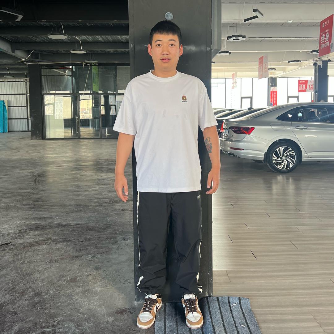 大理途佳二手车-奥德彪