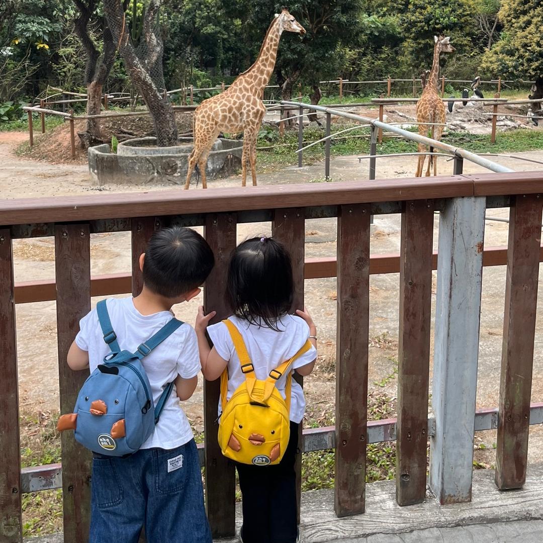 如果、会是永远/