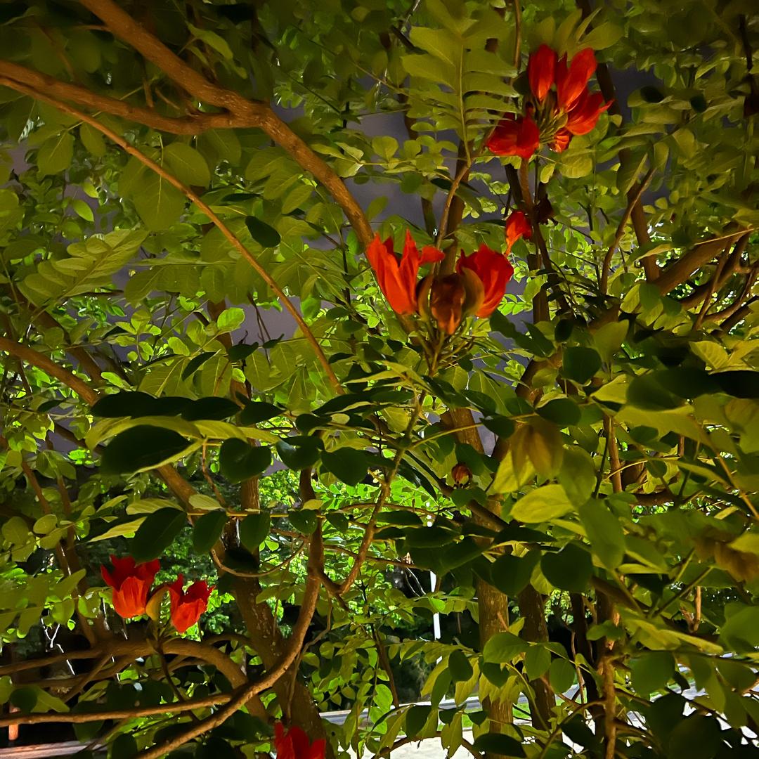 铭阳百货