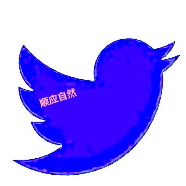 🇨🇳顺应自然