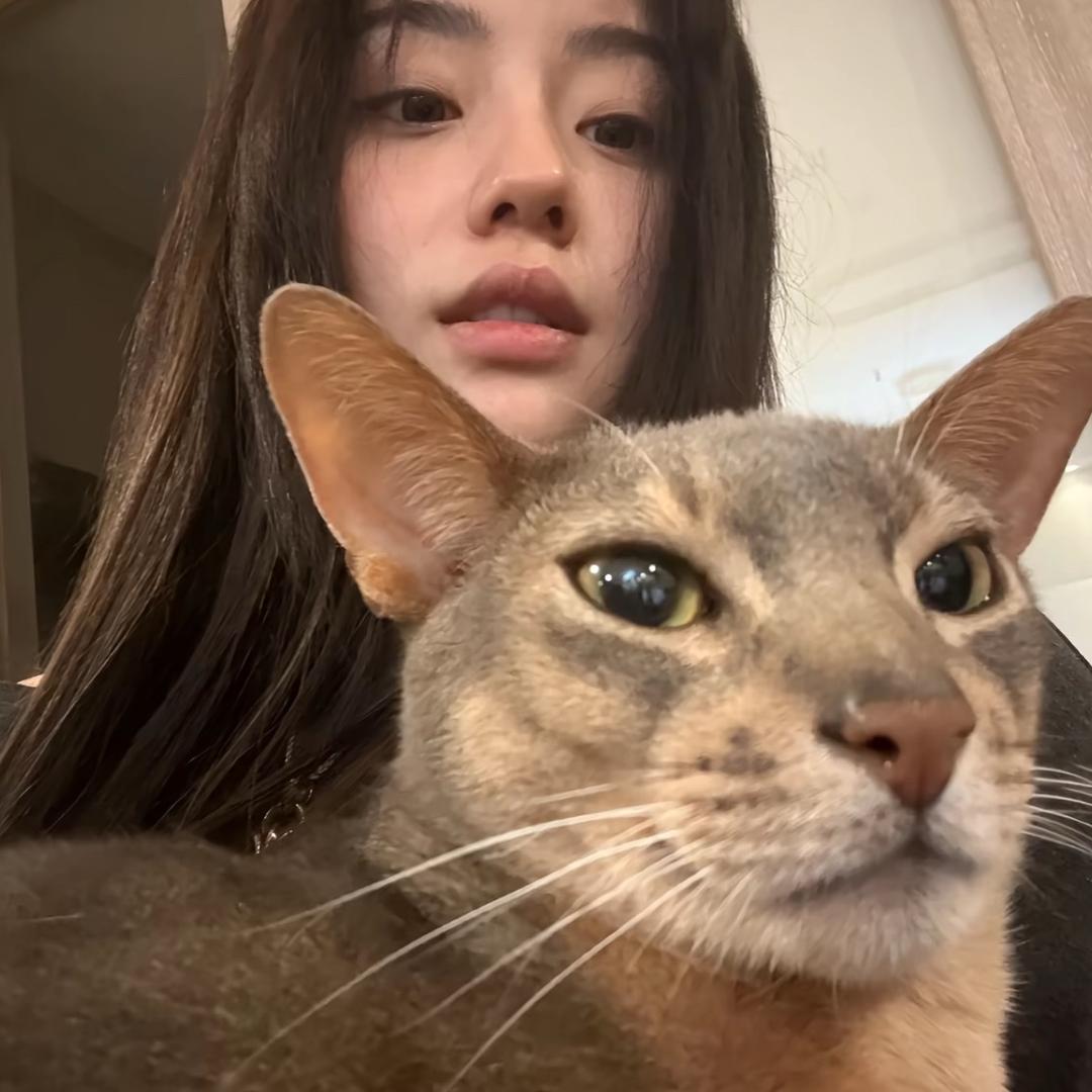 迎迎迎迎迎迎