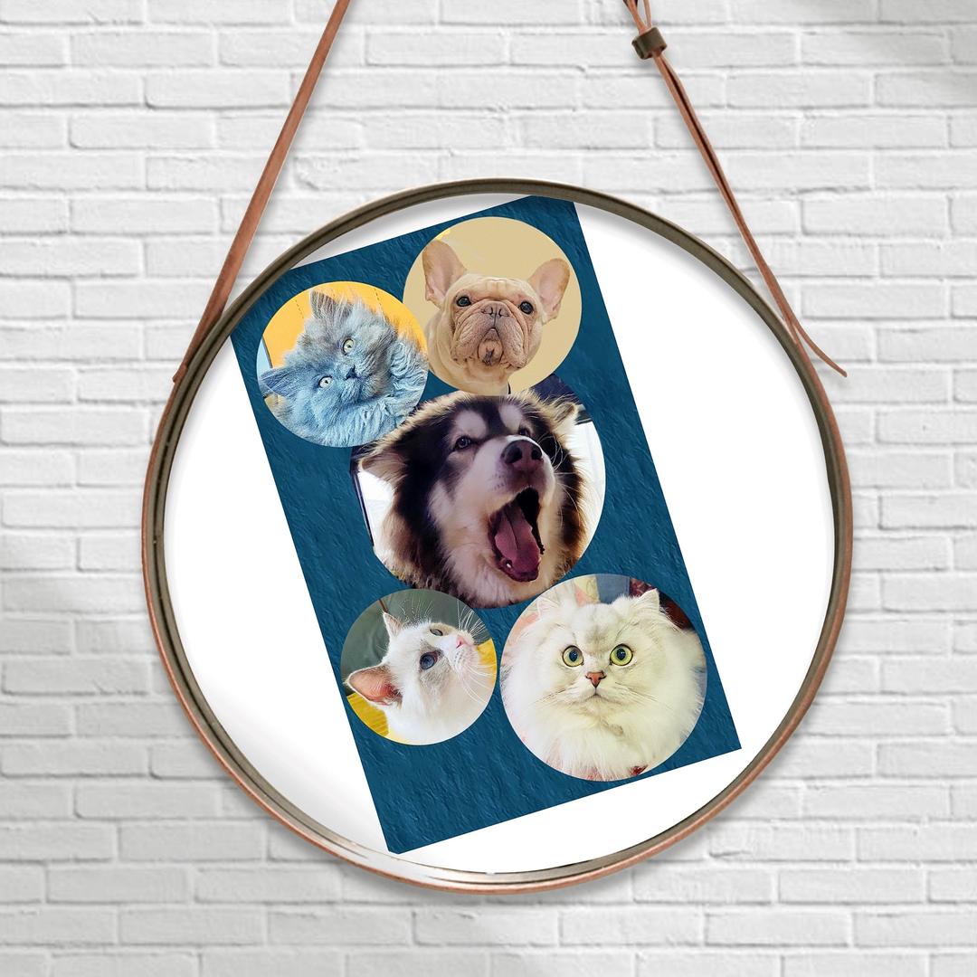 盆姐儿有个爆脾气💋