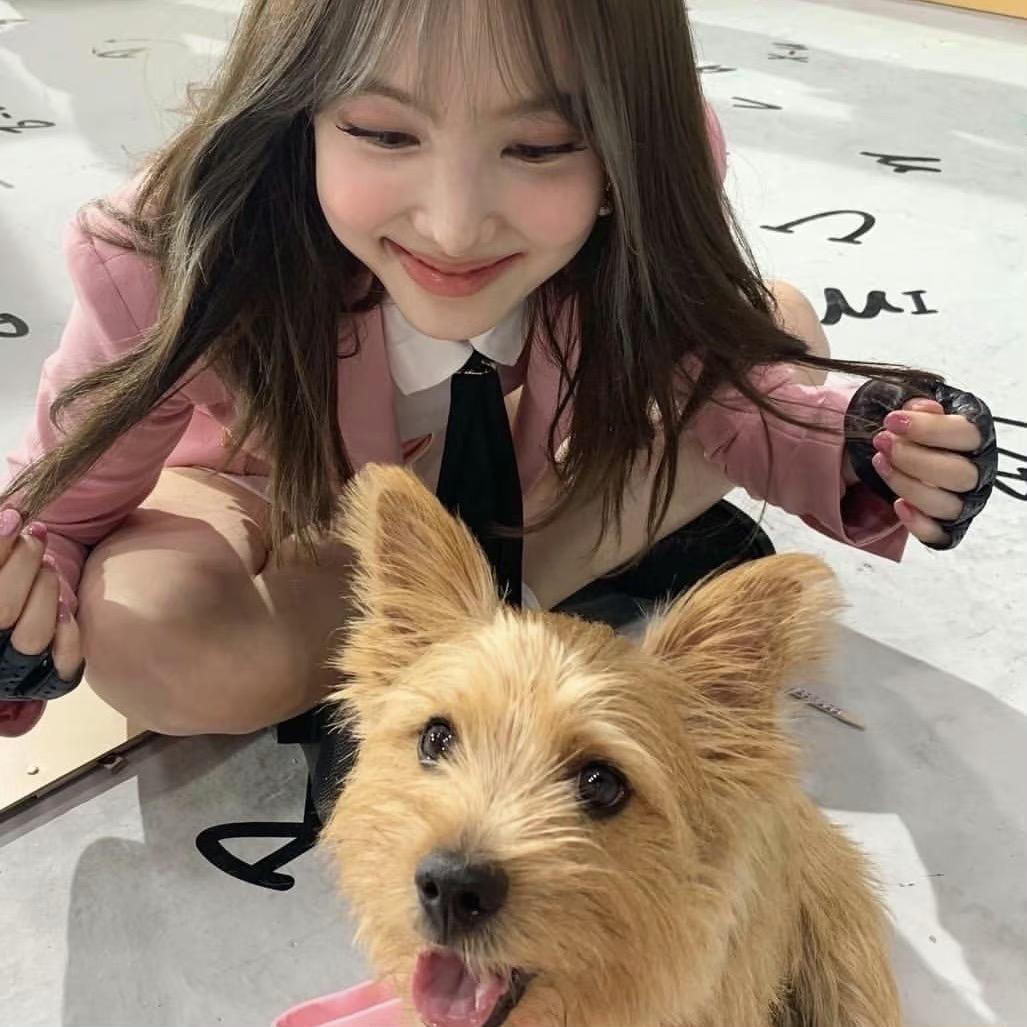 涐真的不困