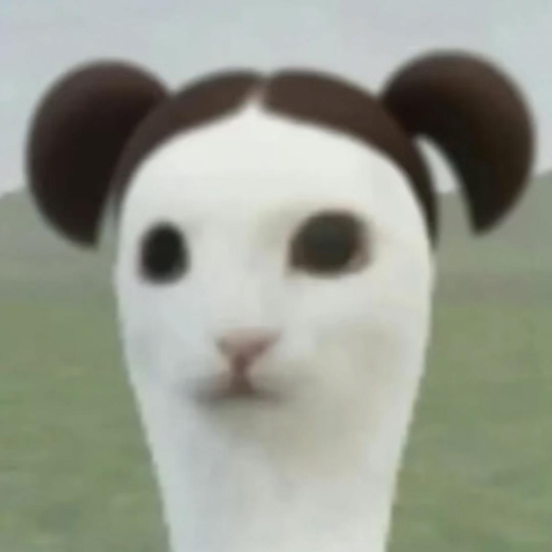 卷毛小狗՞˶•֊•˶՞ಣ