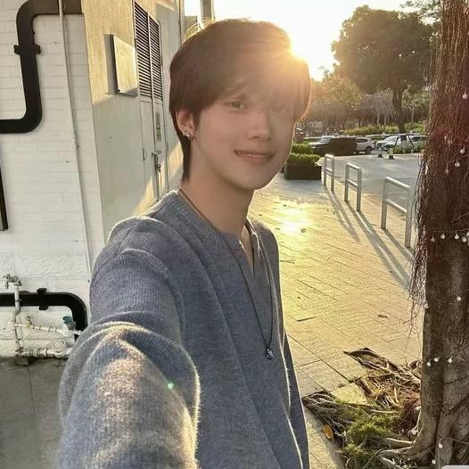 咖特肯（专升本）中