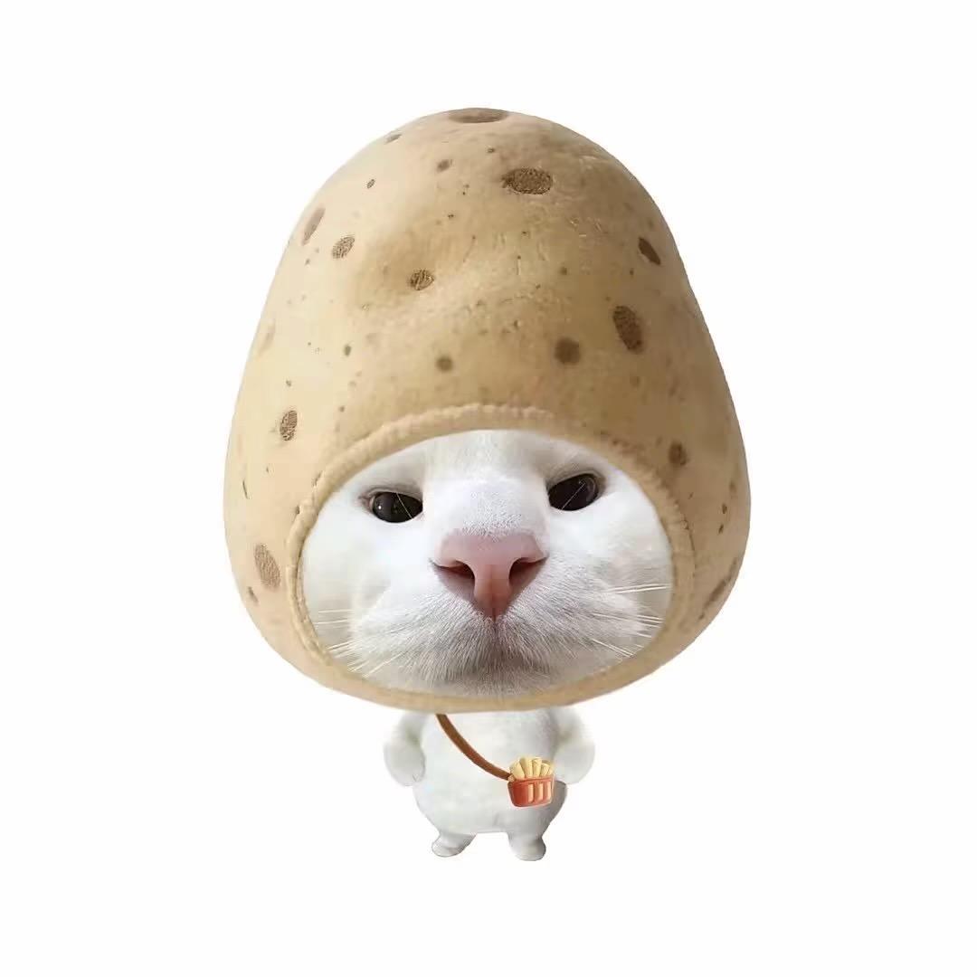 道上都叫我土豆大王🥔