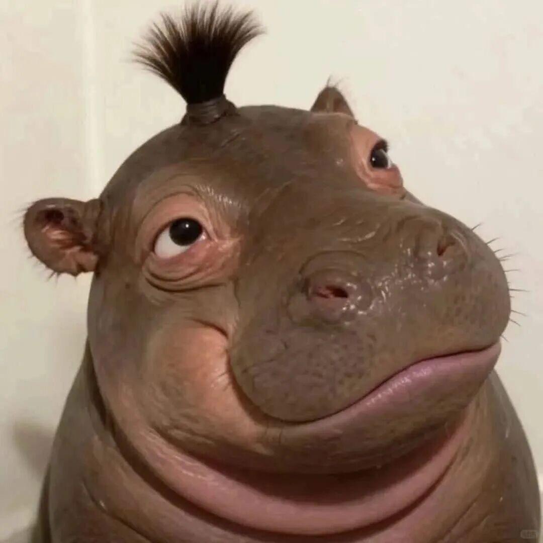Y钧澈