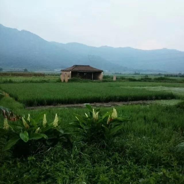 宝燊