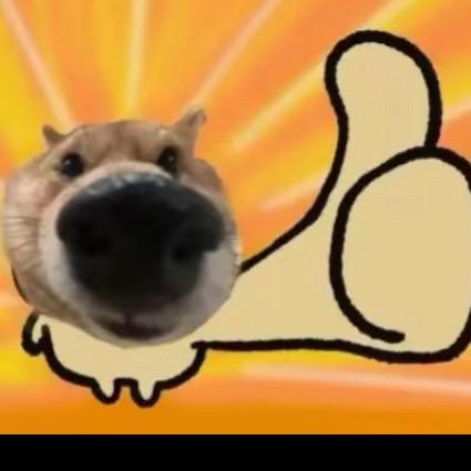 yyyyyytt