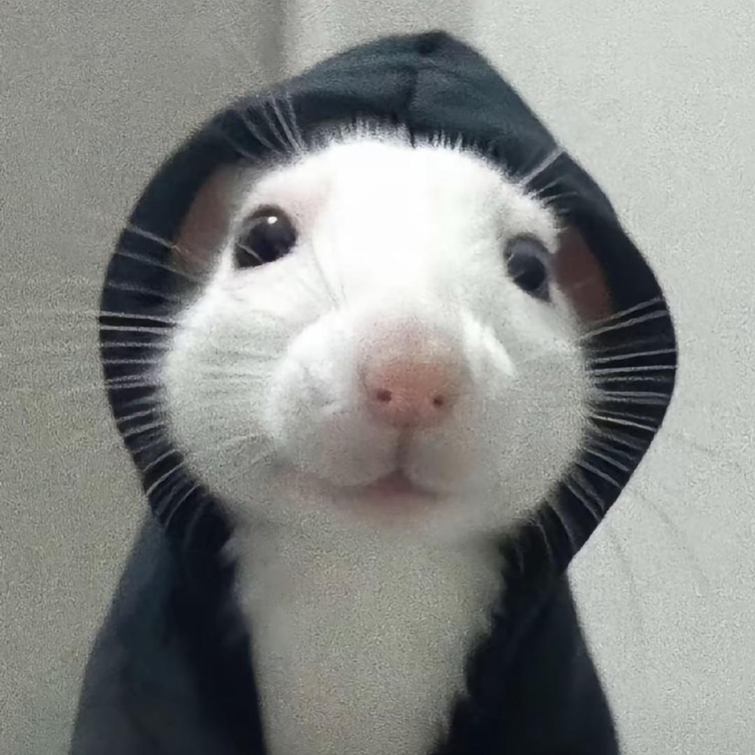 猥琐TS
