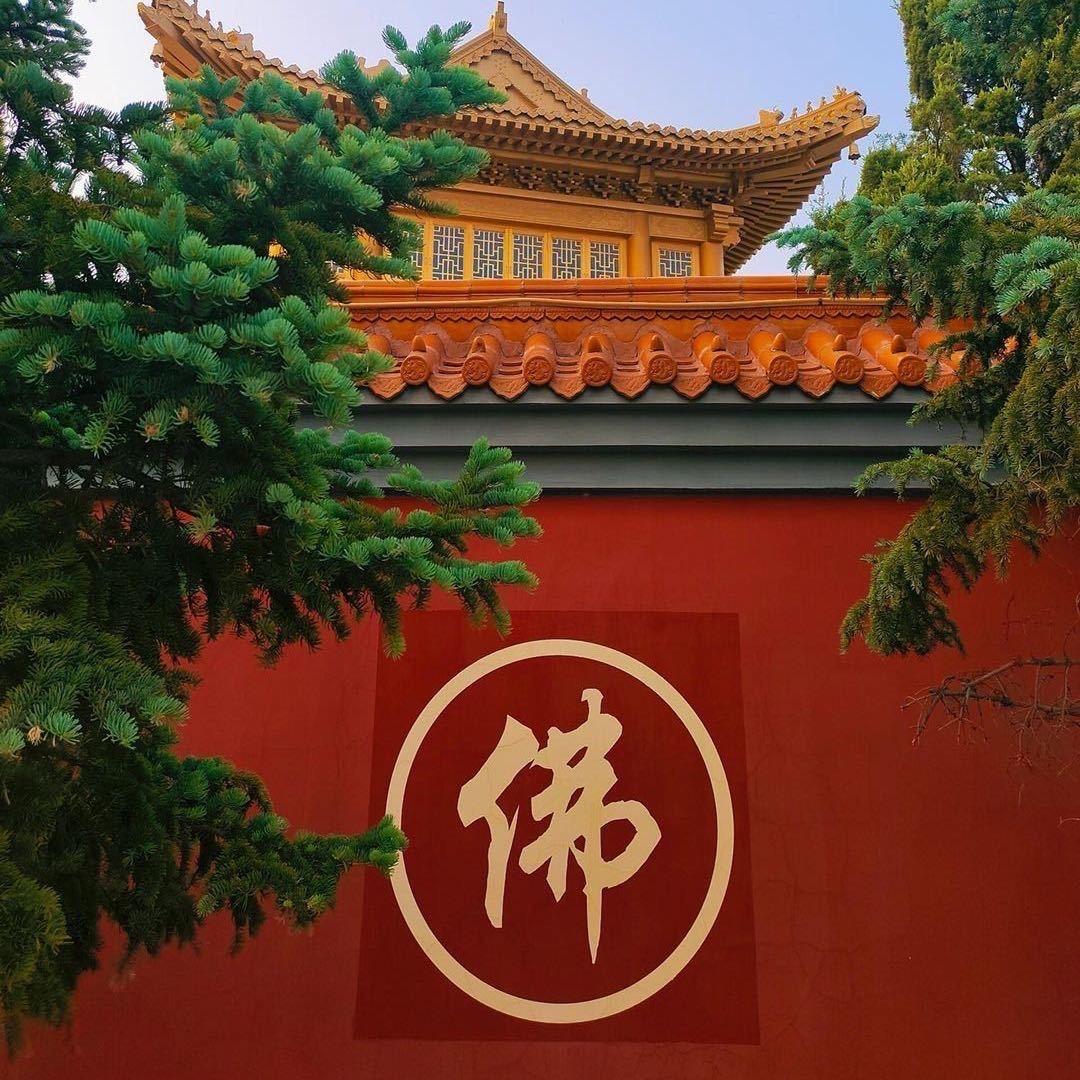 由由