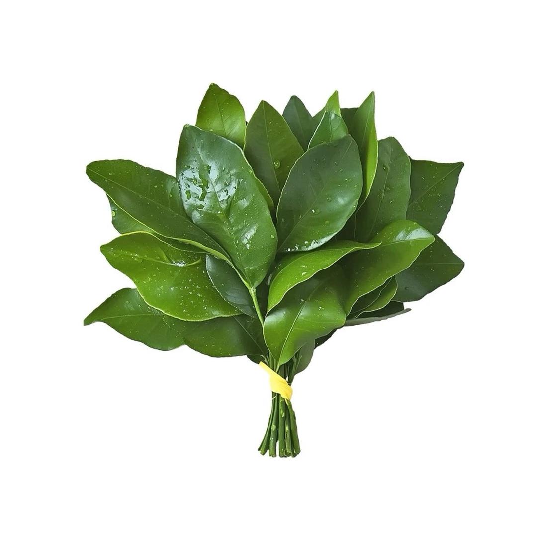 小蝴蝶