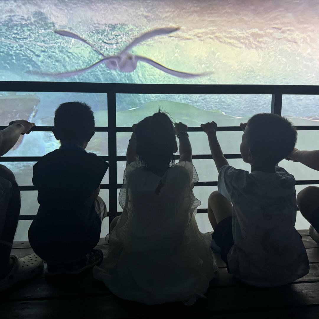 小满吖好物分享