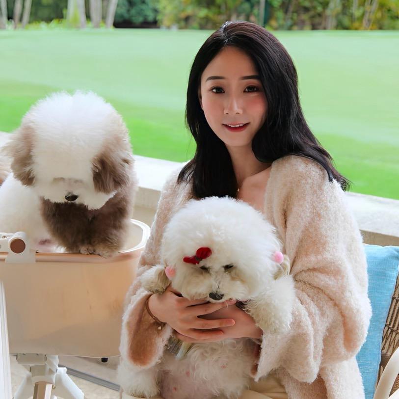 vivi