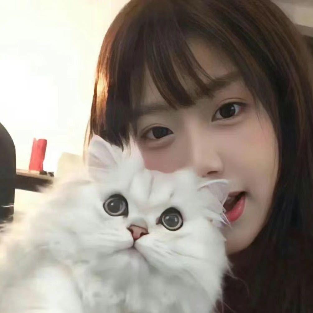 Q崽