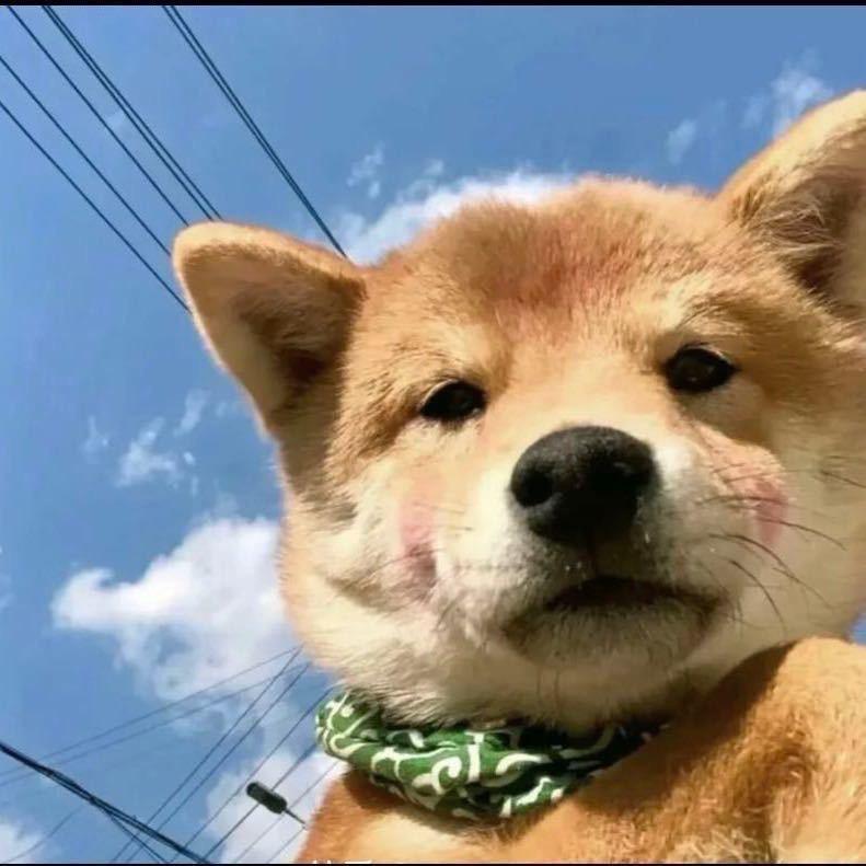 我不说