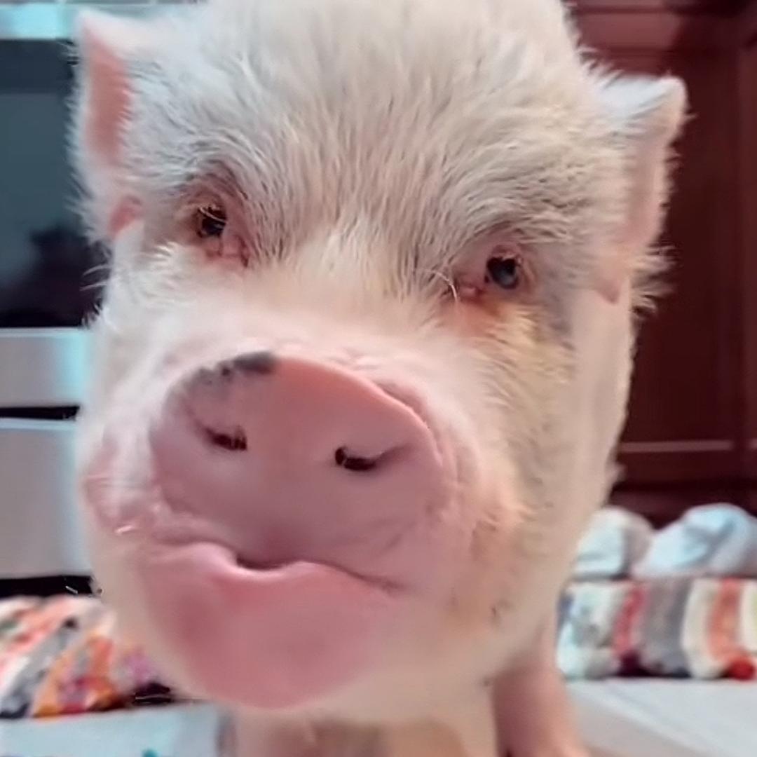 十一点
