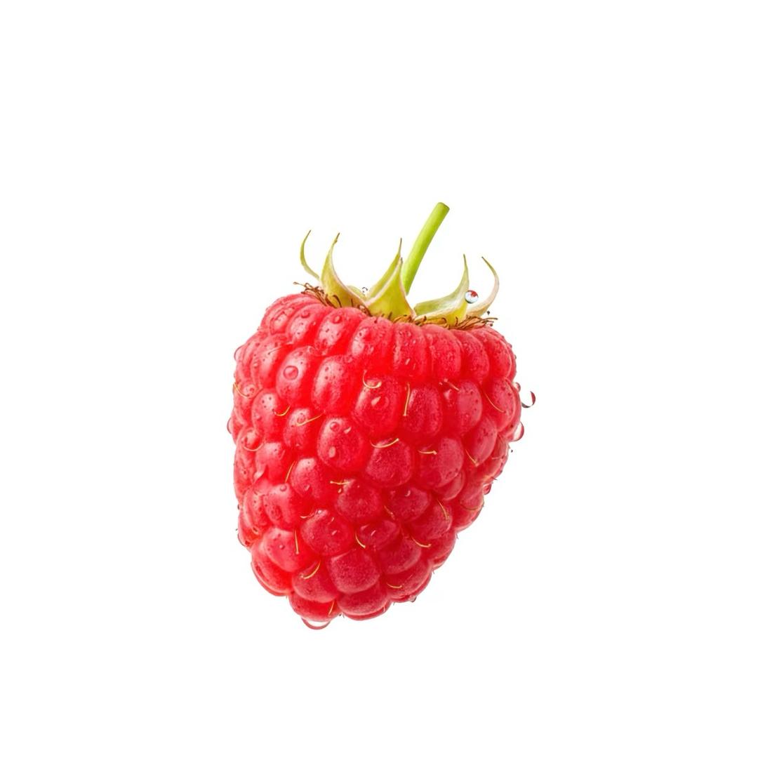 巴黎在逃圣母💨