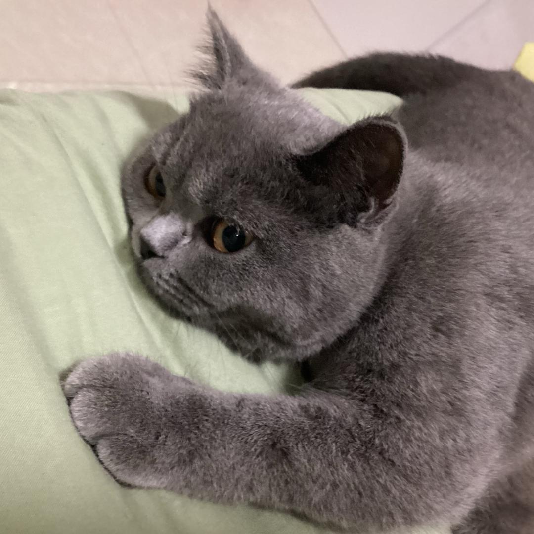 @暴走的太阳花🌻