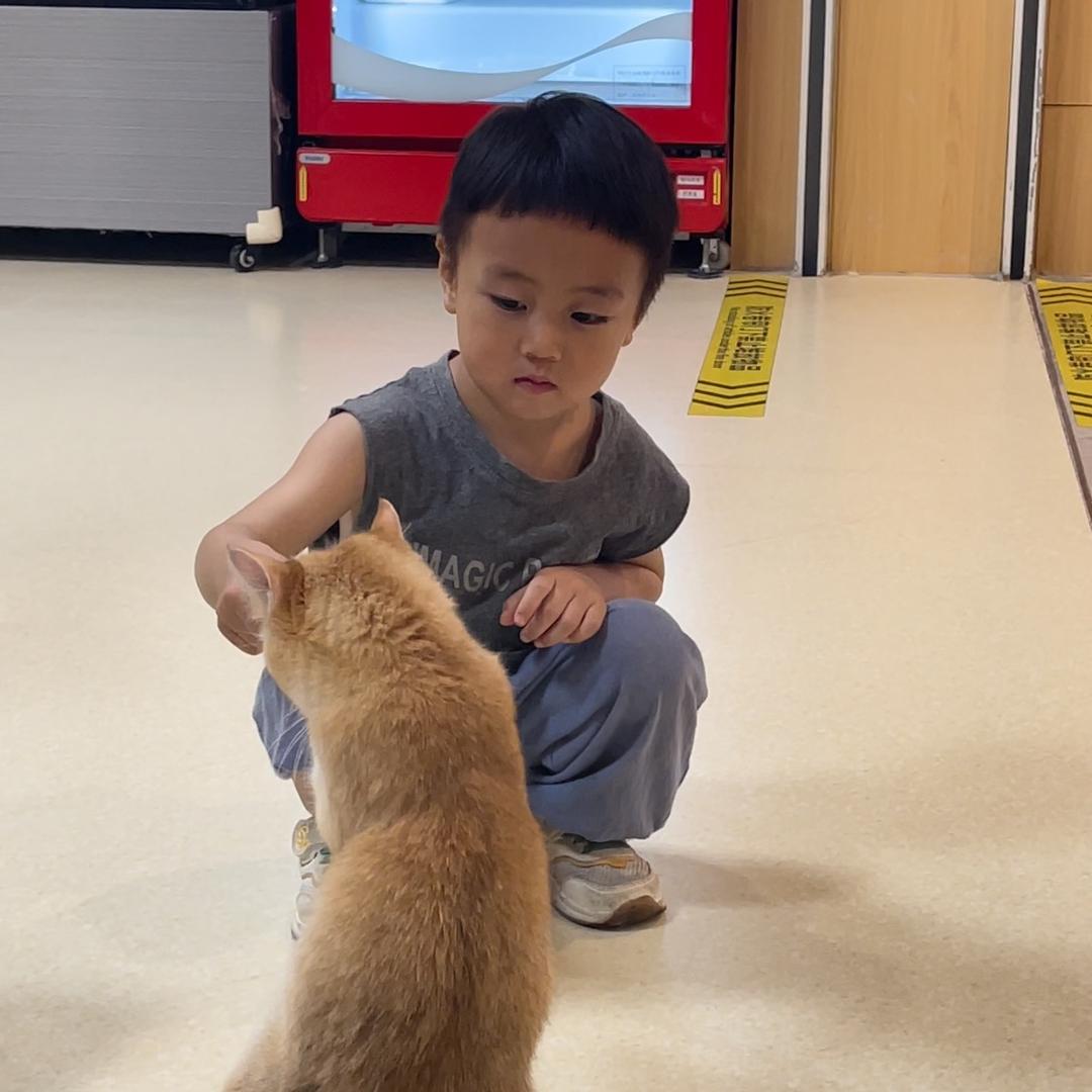 壹壹😇