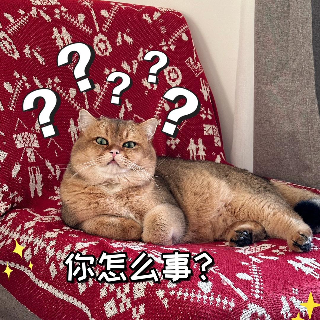 坦克和大炮